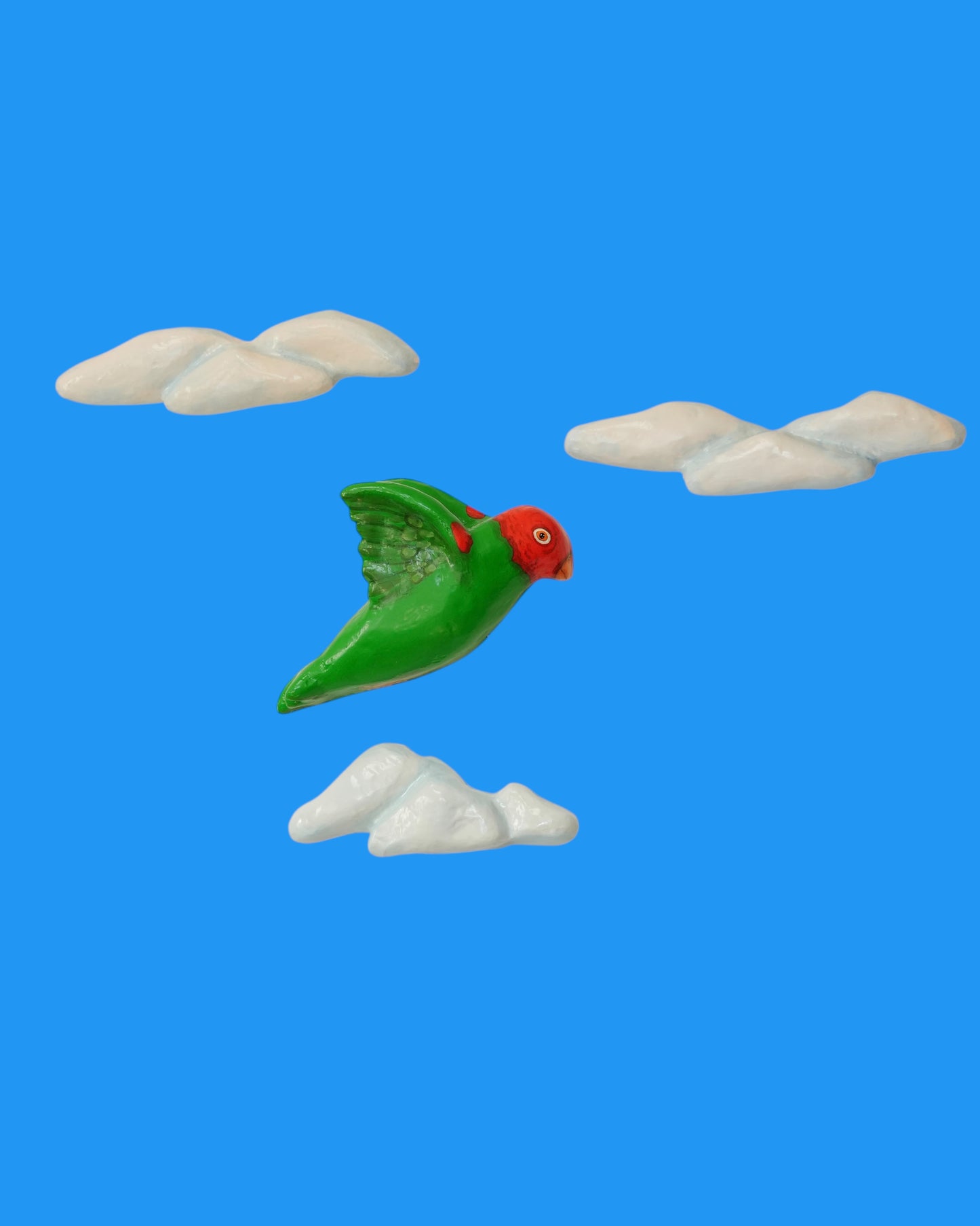 Parrot and Clouds