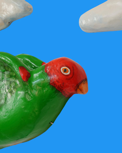 Parrot and Clouds