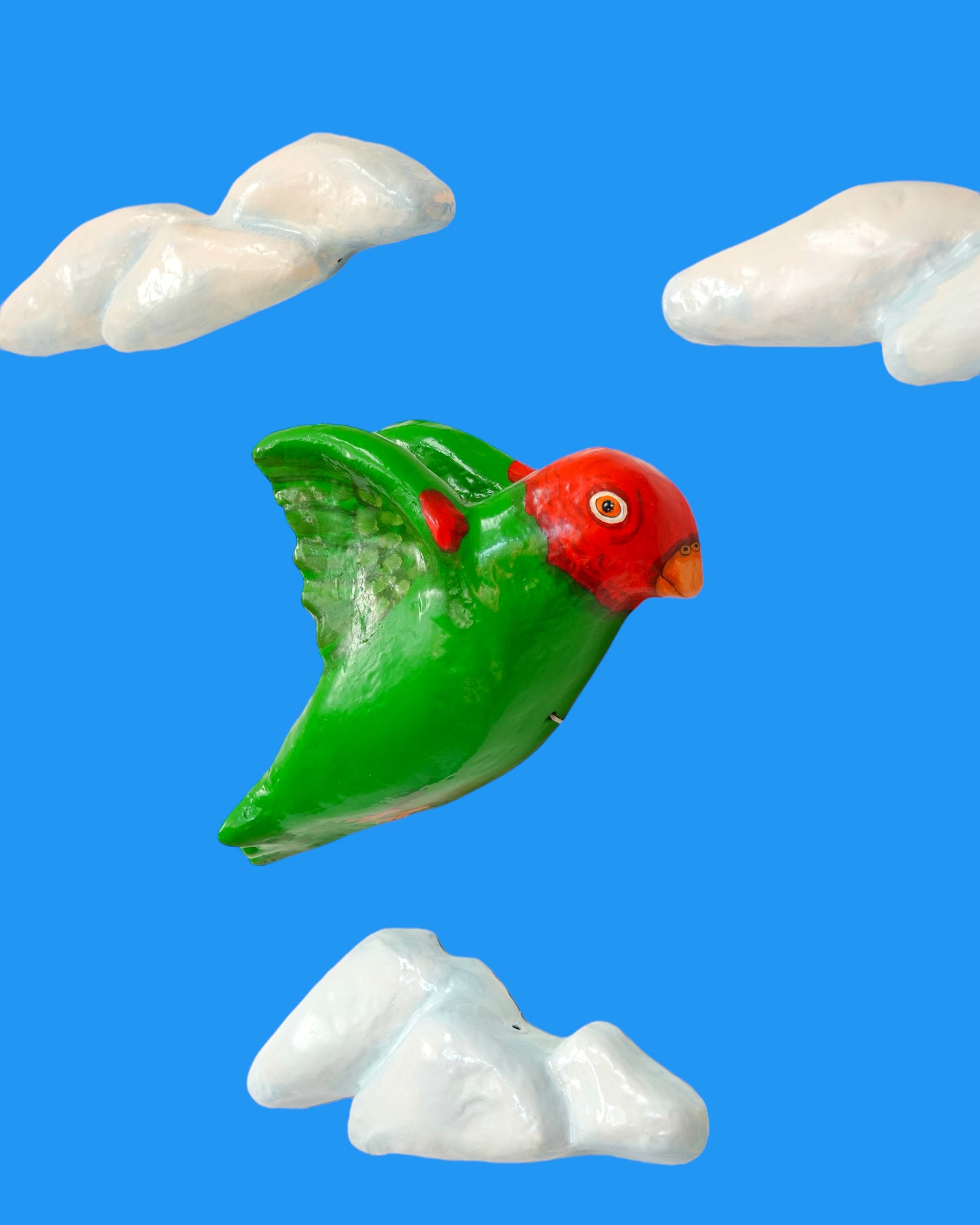 Parrot and Clouds